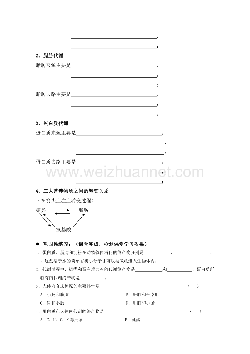 生物：4.4《生物体内营养物质的转换》学案（2）（沪科版第一册）.doc_第3页