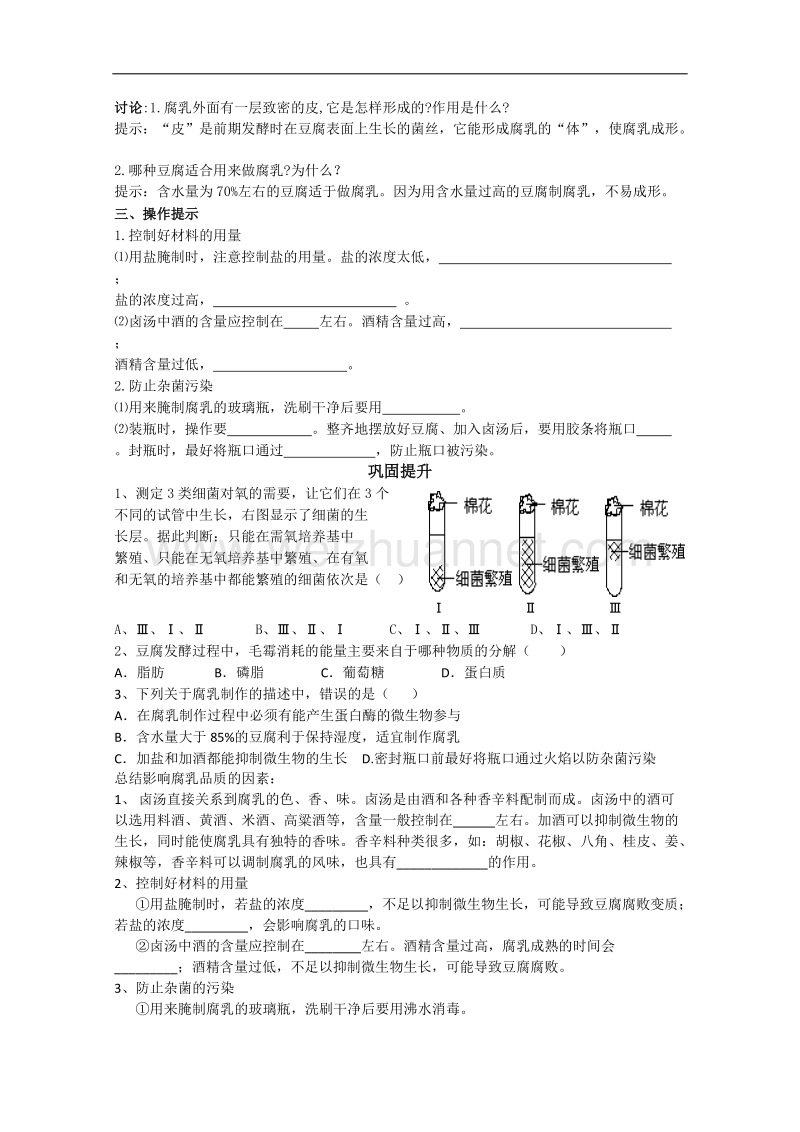 生物：3.9《实验九 腐乳的制作》学案5（浙科版选修1）.doc_第2页