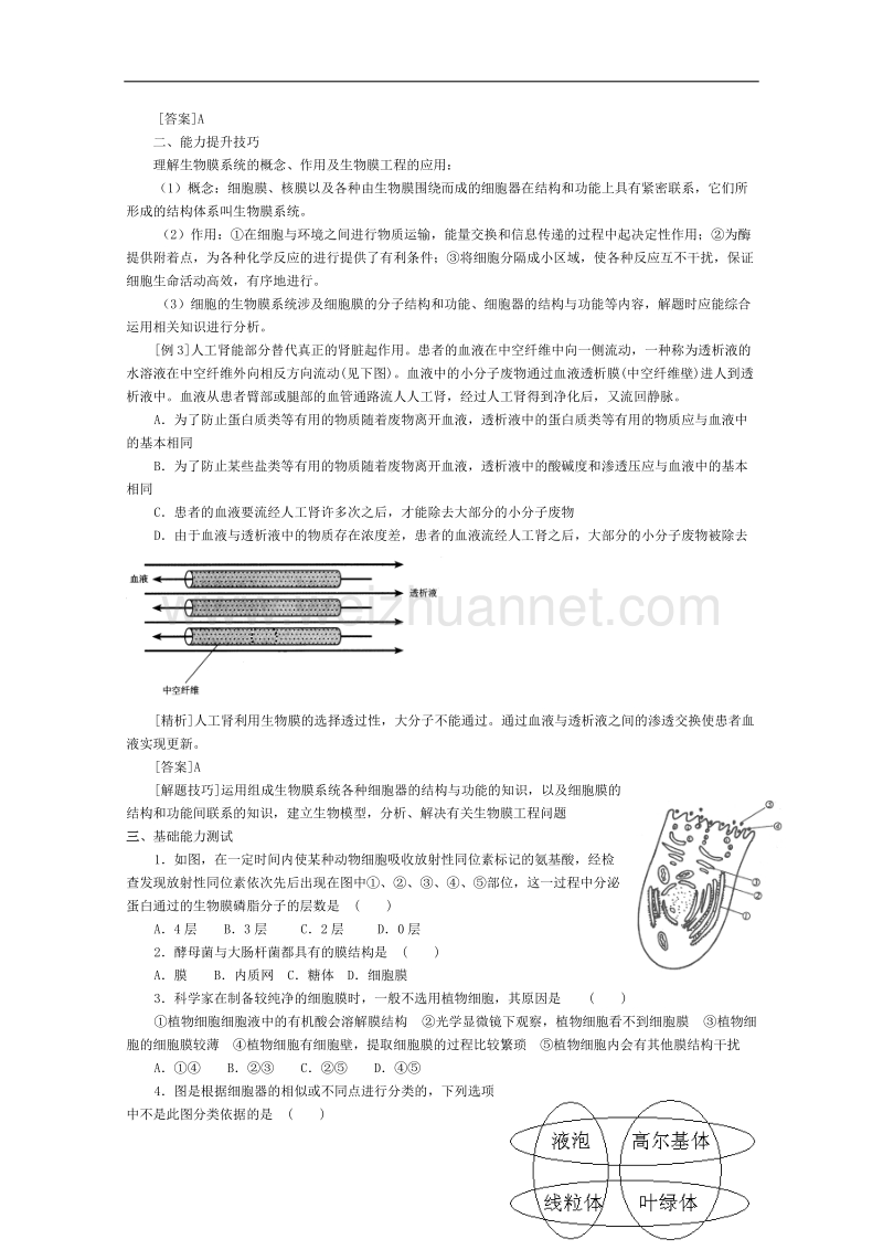 高三生物第一轮复习(旧人教)细胞的生物膜系统.doc_第3页