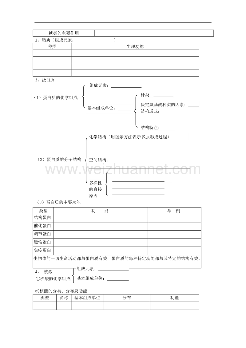 生物：《有机化合物及生物大分子》导学案（浙科版必修一）.doc_第2页