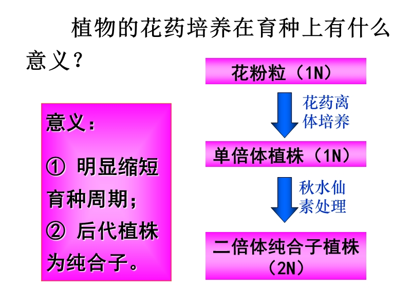 生物选修一-3-2-月季的花药培养.ppt_第2页