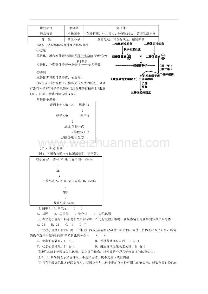 高三生物第一轮复习(旧人教)染色体变异.doc_第2页