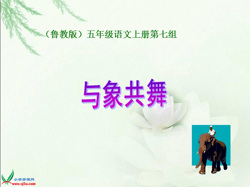 与象共舞.ppt_第1页