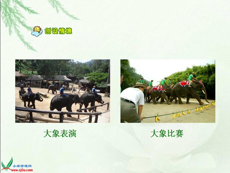 与象共舞.ppt_第3页