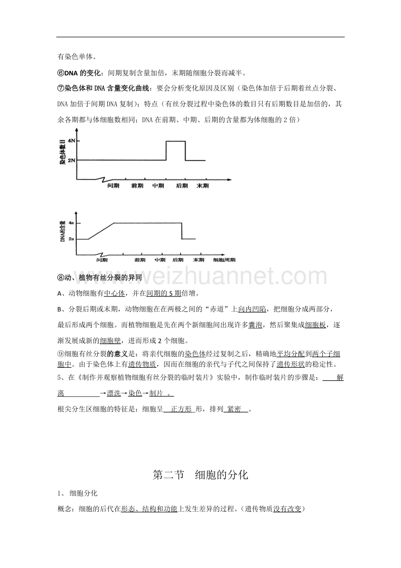 生物：第4章《细胞的增殖与分化》学案（1）（浙科版必修1）.doc_第2页