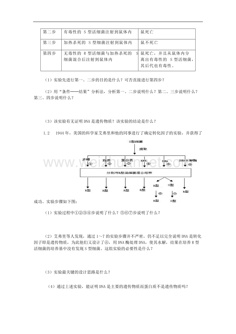 生物：6.1《遗传信息》学案（3）（沪科版第二册）.doc_第3页