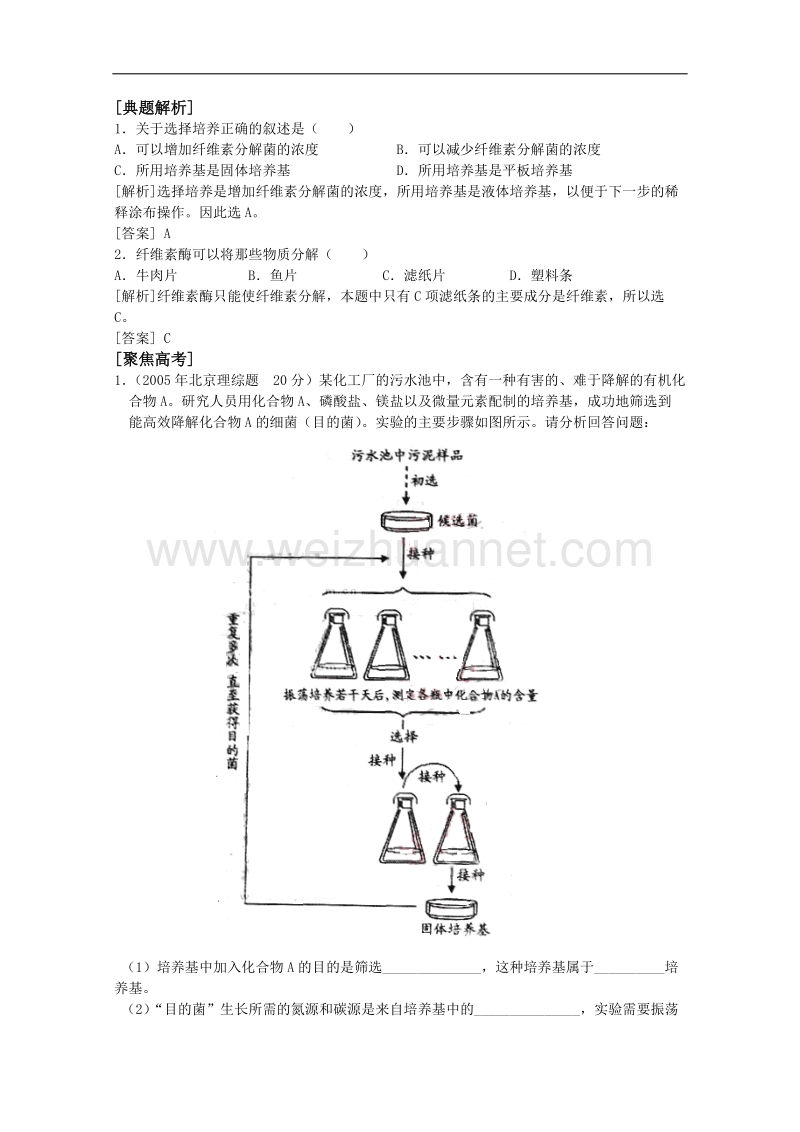 生物：1.2《培养基对微生物的选择作用》学案（1）（中图版选修1）.doc_第2页