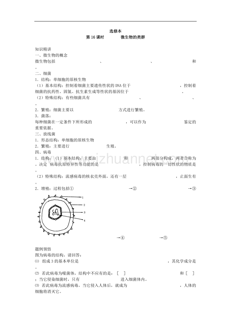 生物专题学案：微生物的类群.doc_第1页