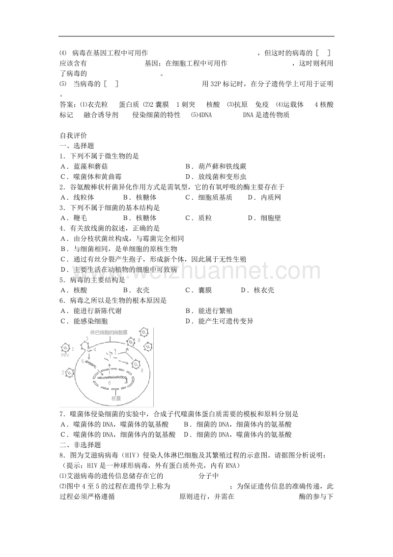 生物专题学案：微生物的类群.doc_第2页