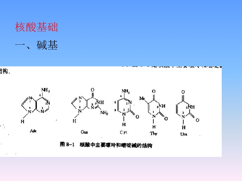 第九章-基因的检测.ppt_第2页