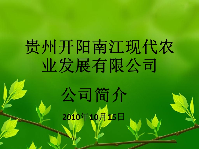 现代农业发展有限公司.ppt_第1页