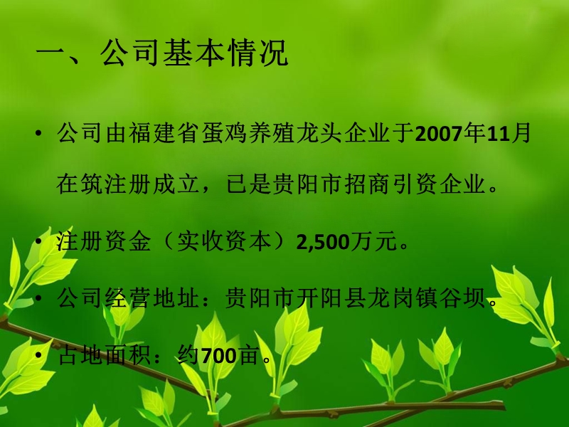 现代农业发展有限公司.ppt_第3页