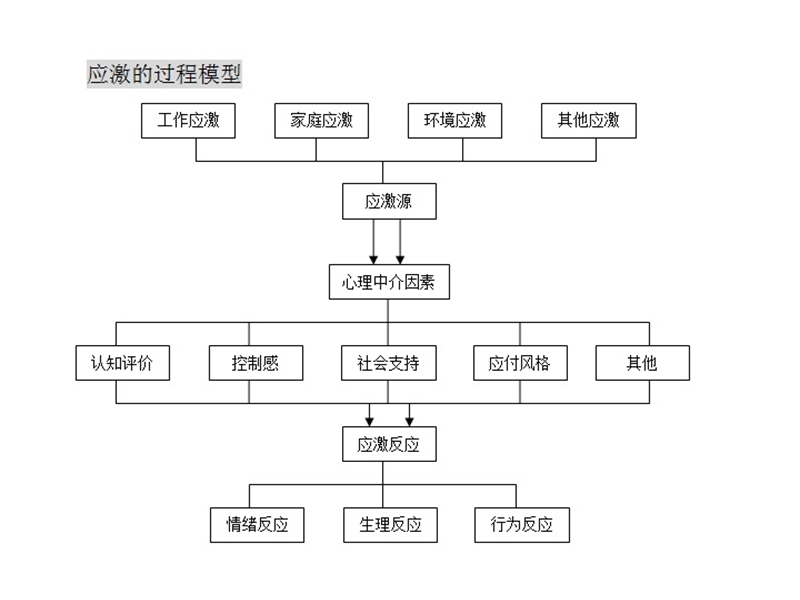 第04章-心理中介因素的作用.ppt_第2页