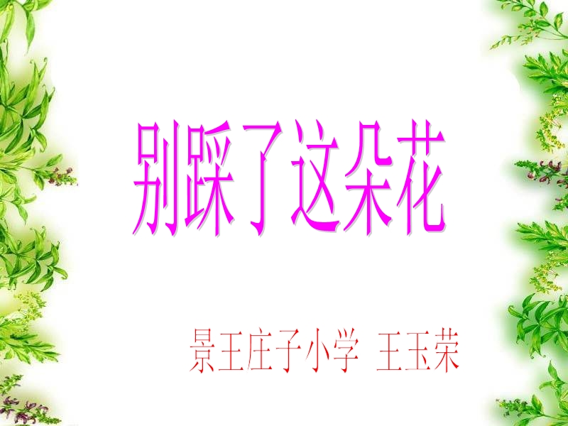 别踩了这朵花.ppt_第3页