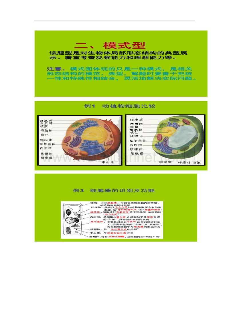 四川省成都市四十九中：《生物图类专题》学案（高三二轮复习） microsoft word 文档.doc_第2页