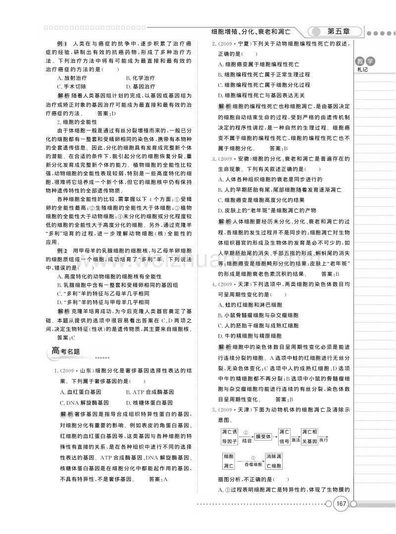 高一苏教版生物必修一精品教案：《第五章 细胞增殖 分化+衰老和凋亡》章末总结 .pdf_第2页