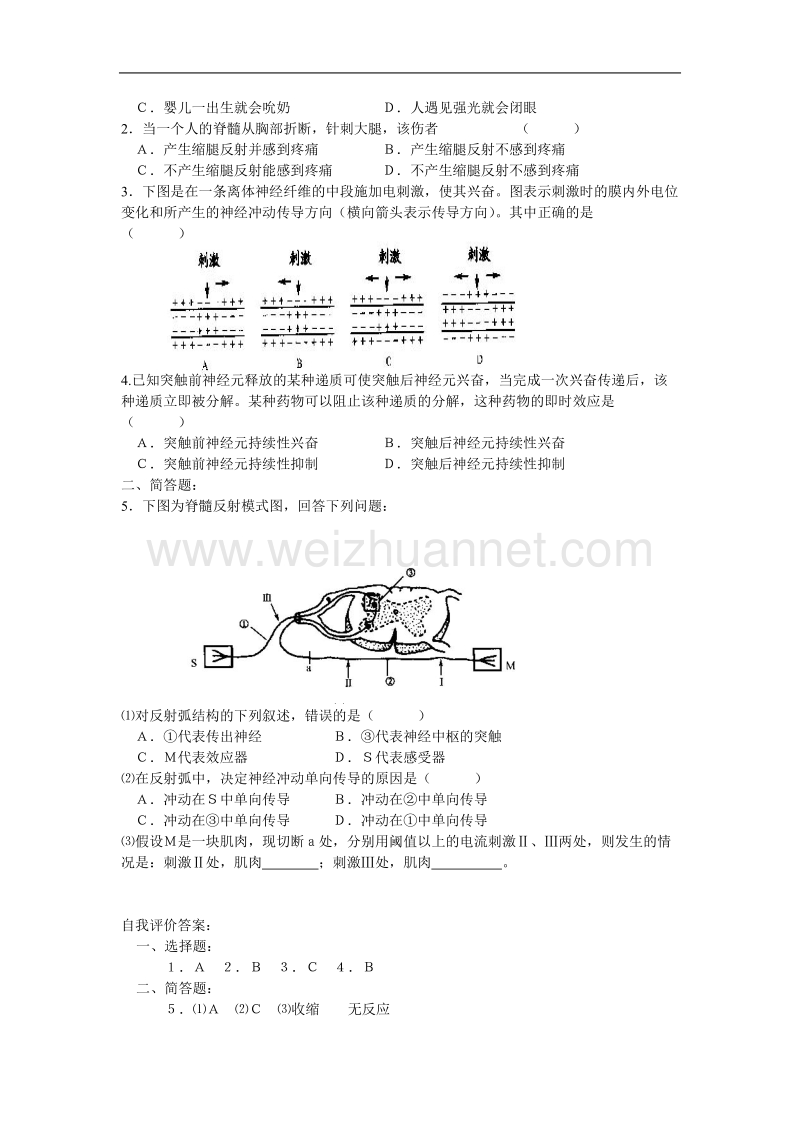 高中生物第一册学案：神经调节.doc_第2页