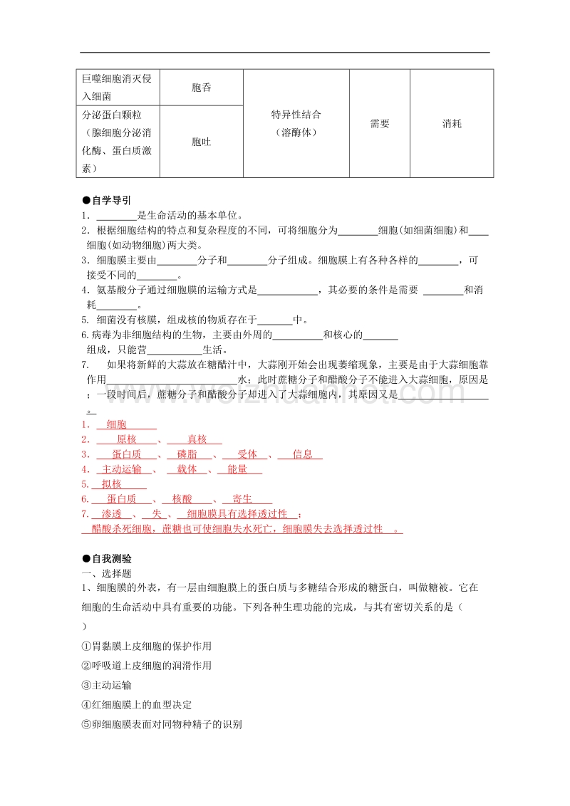 生物：第3章《生命的结构基础》学案（1）（沪科版第一册）.doc_第2页