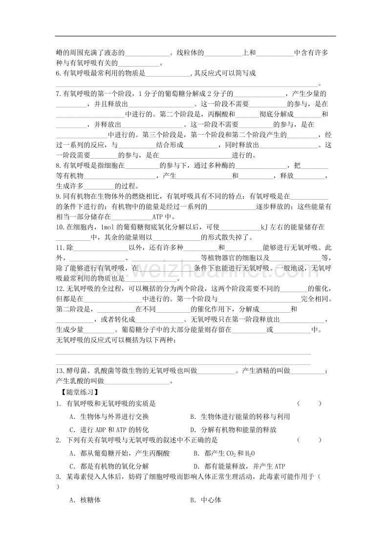 高中生物《从化学能到生物能》学案5 中图版必修1.doc_第2页