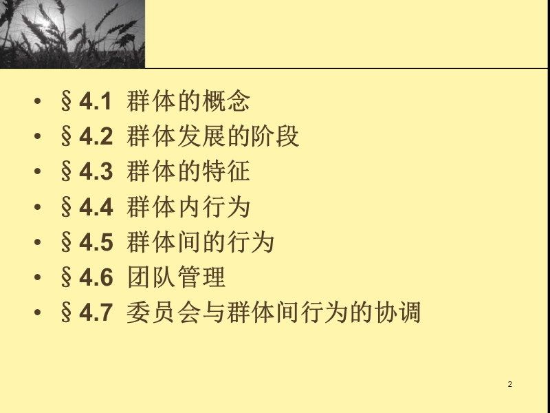 组织行为学-04群体心理.ppt_第2页