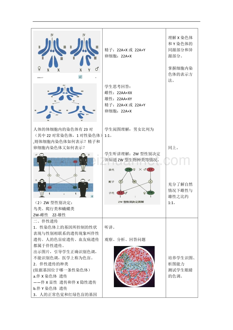 生物：8.2《伴性遗传》教案（5）（沪科版第三册）.doc_第3页