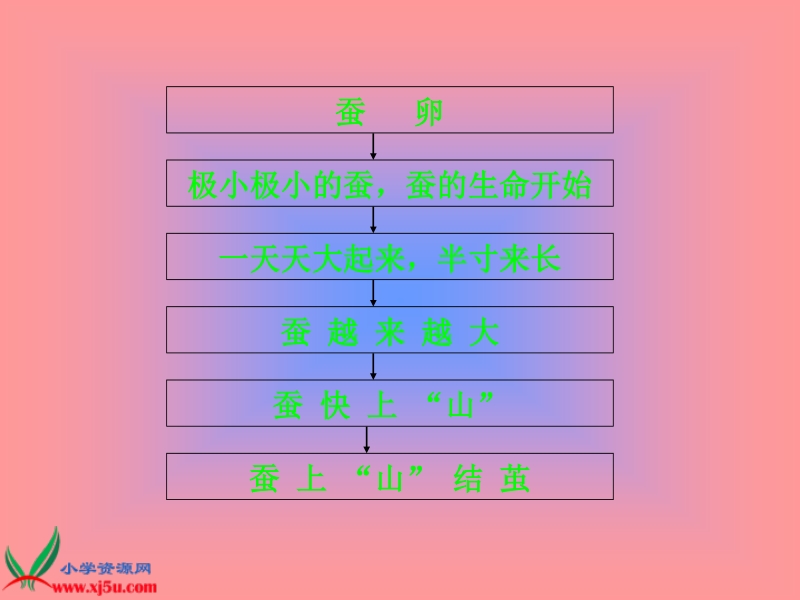 （人教版）三年级语文下册课件 春蚕 1.ppt_第3页