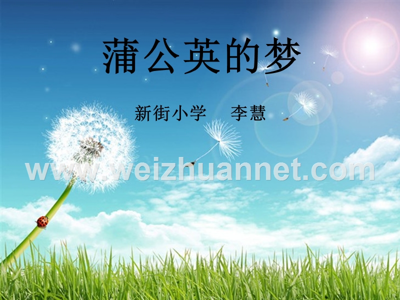 蒲公英的梦正式课件.ppt_第1页