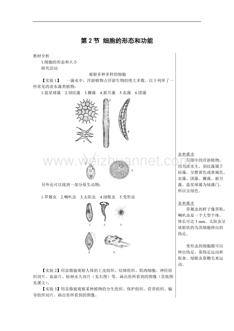 生物：1.1.2《细胞的形态和功能》教案（4）（中图版必修1）.doc_第1页