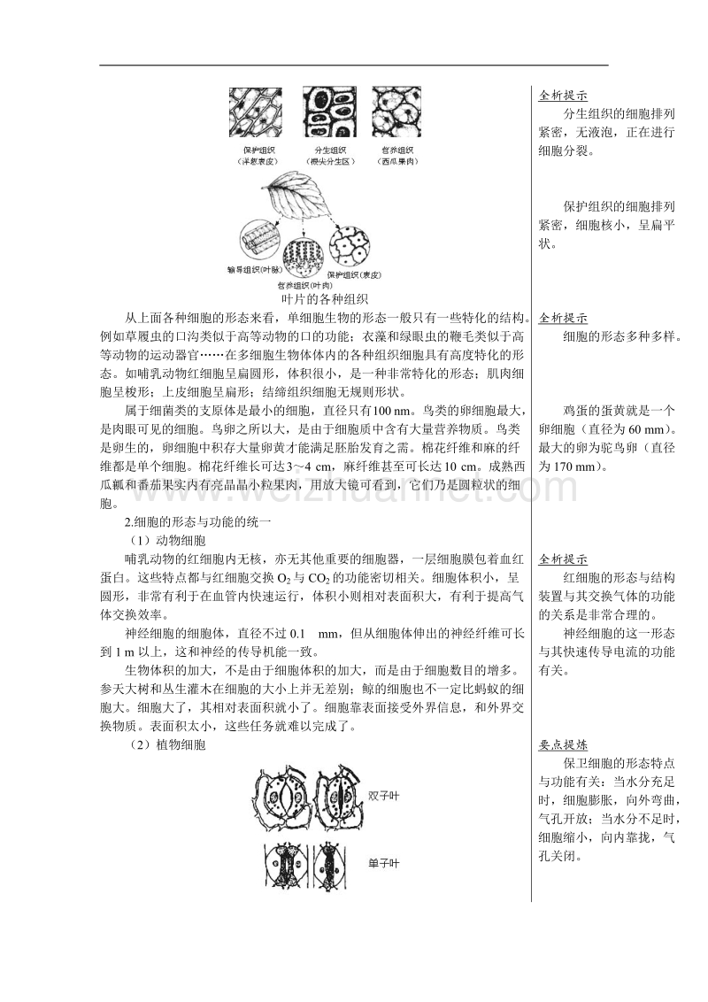 生物：1.1.2《细胞的形态和功能》教案（4）（中图版必修1）.doc_第2页