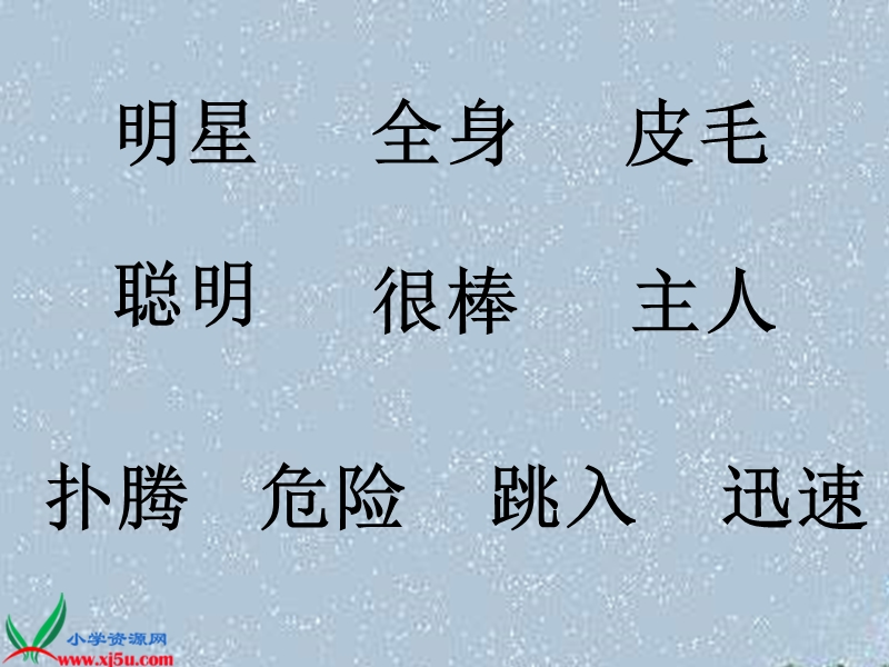 宠物明星 (1kejian.com).ppt_第3页