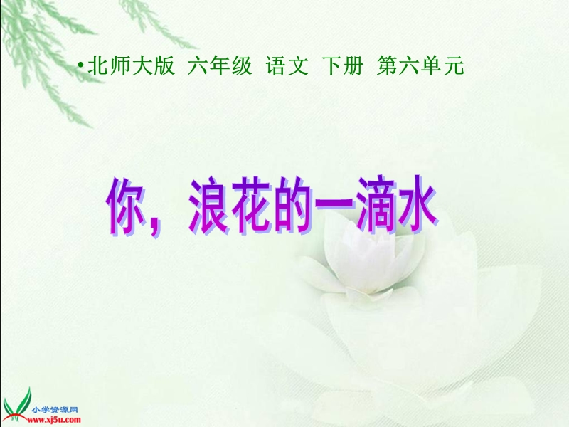 （北师大版）六年级语文下册课件 你，浪花的一滴水 1.ppt_第1页