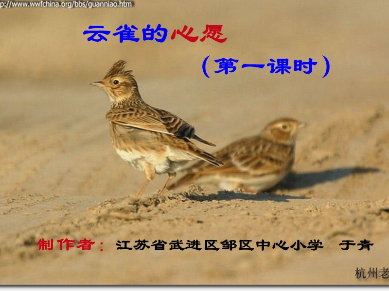 云雀的心愿_于青.ppt_第2页