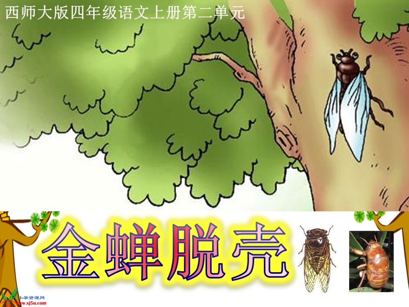 （西师大版）四年级语文上册课件 金蝉脱壳 2.ppt_第1页