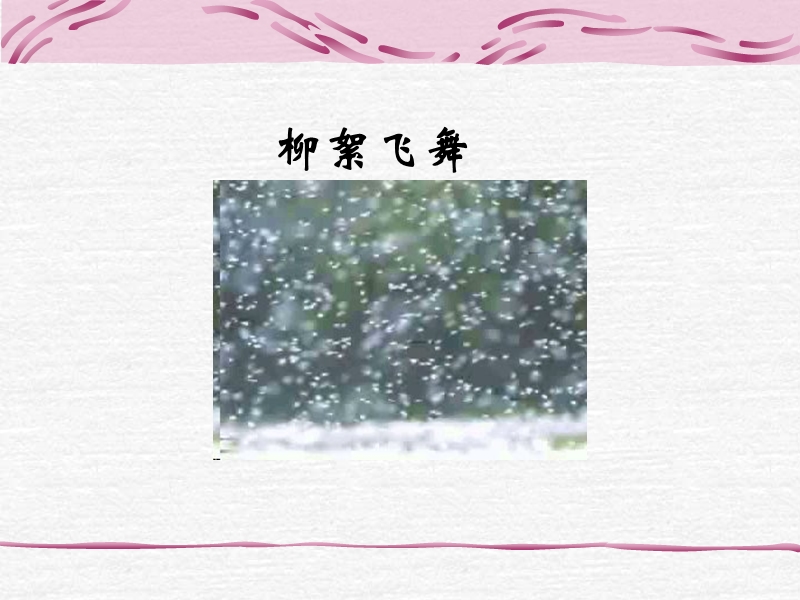 （语文a版）二年级语文上册课件 雪花 3.ppt_第3页