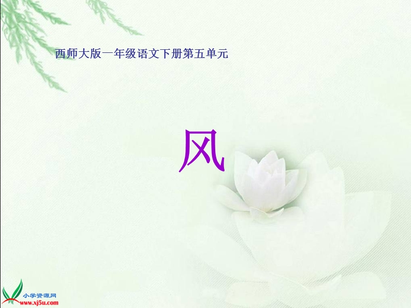 （西师大版）一年级语文下册课件 风.ppt_第1页