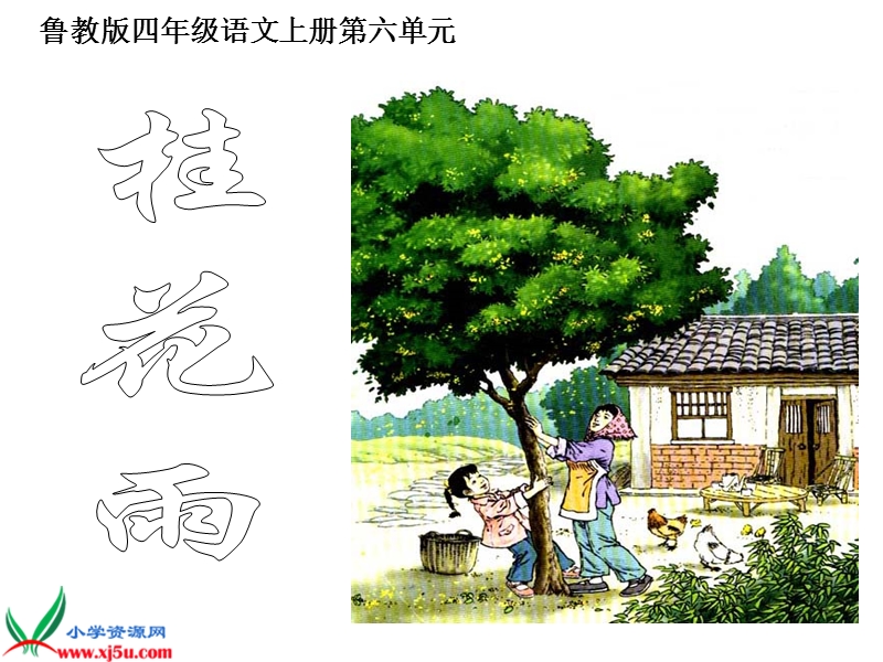 （鲁教版）四年级语文上册课件 桂花雨 3.ppt_第3页