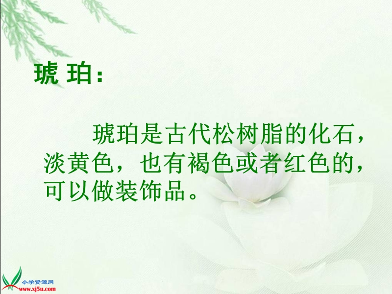 （北师大版）六年级语文下册课件 琥珀 1.ppt_第2页