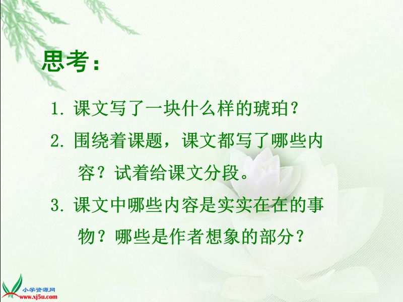 （北师大版）六年级语文下册课件 琥珀 1.ppt_第3页