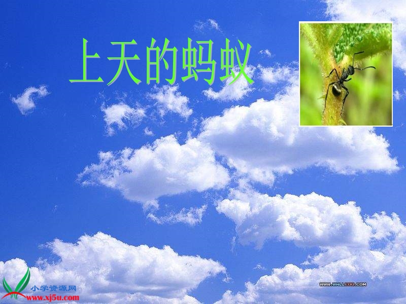 （北师大版）二年级语文上册课件 上天的蚂蚁 4.ppt_第1页