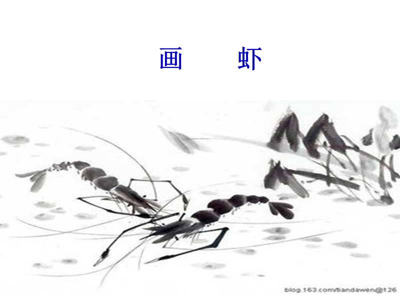 （西师大版）二年级语文上册课件 画虾 4.ppt_第1页