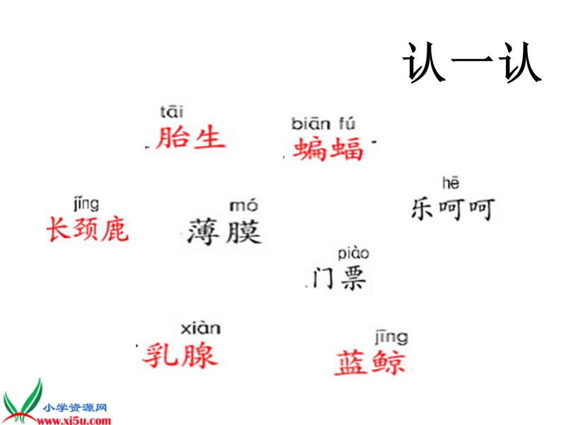 （西师大版）四年级语文上册课件 联欢会的风波.ppt_第2页