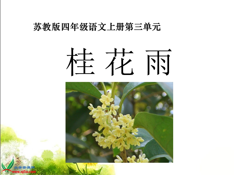 （苏教版）四年级语文上册课件 桂花雨 3.ppt_第1页