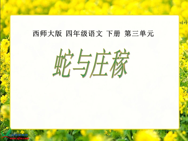 （西师大版）四年级语文下册课件 蛇与庄稼1.ppt_第1页