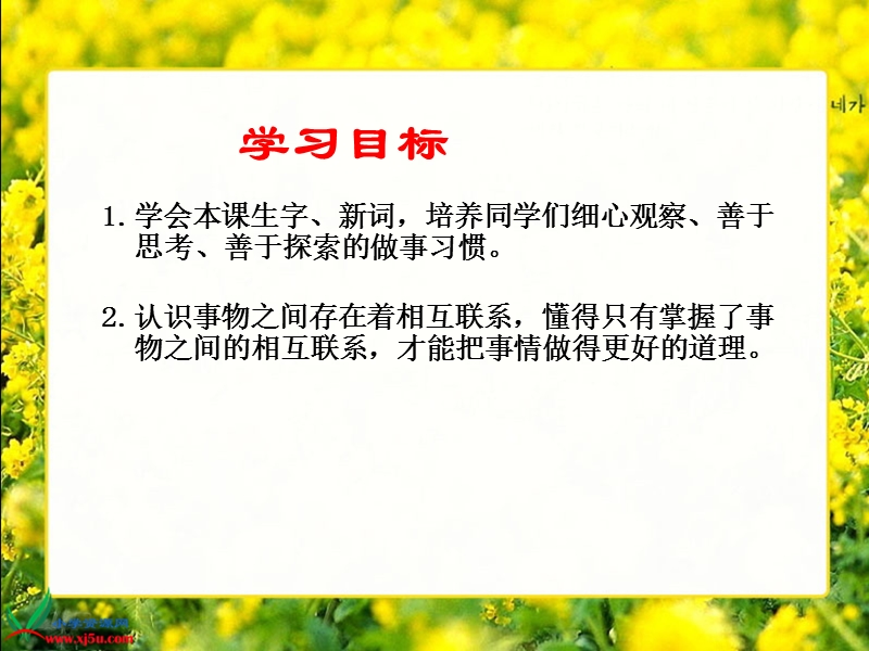 （西师大版）四年级语文下册课件 蛇与庄稼1.ppt_第2页