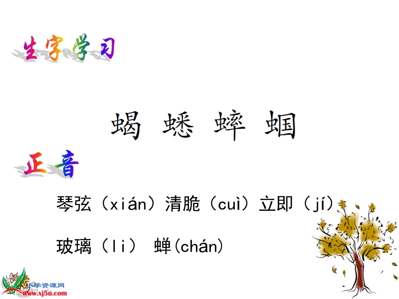 （语文s版）六年级语文上册课件 表里的生物 1.ppt_第3页