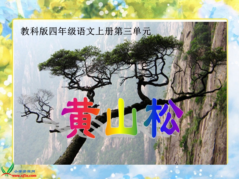 （教科版）四年级语文上册课件 黄山松 1.ppt_第1页