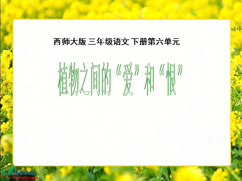 （西师大版）三年级语文下册课件 植物之间的“爱”和“恨”1.ppt_第1页