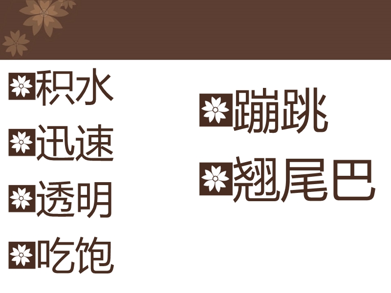 （北师大版）三年级语文下册课件 小虾 5.ppt_第3页