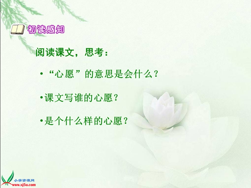 （北师大版）五年级语文下册课件 心愿 1 第一课时.ppt_第3页