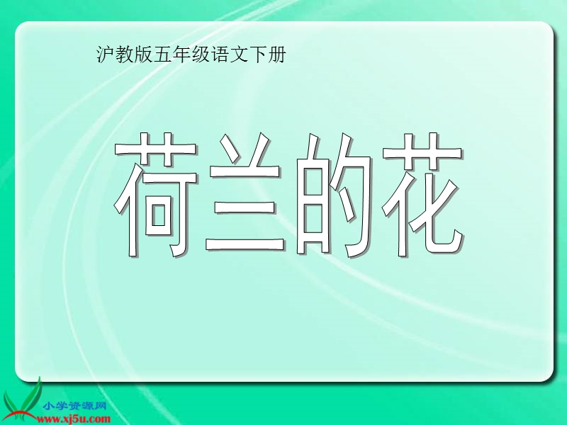 （沪教版）五年级语文下册课件 荷兰的花 1.ppt_第2页